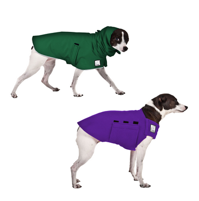 Rat Terrier Winter Coat | Voyagers K9 Apparel
