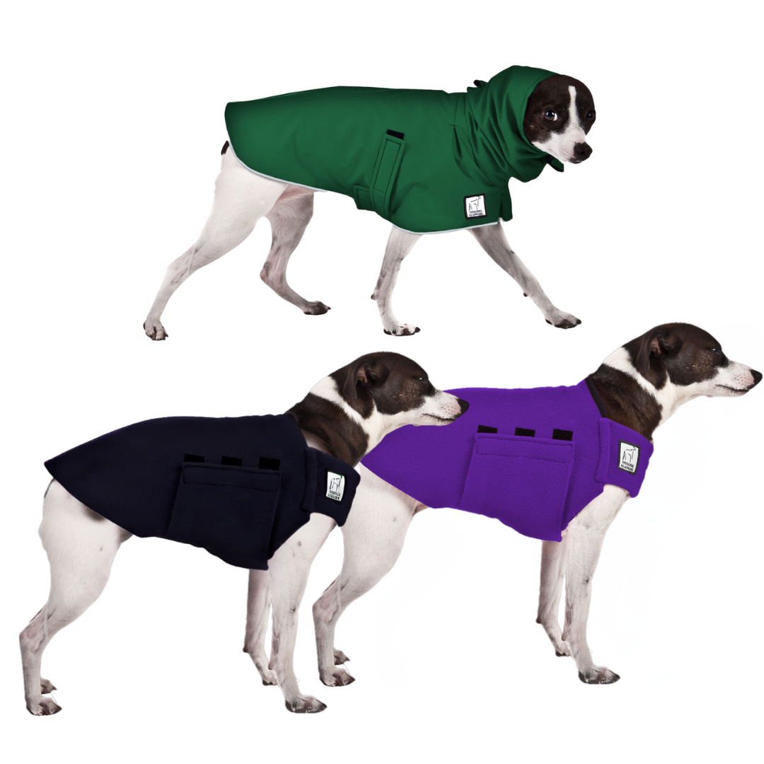 Rat Terrier Wanderer Bundle