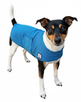Rat Terrier Cooling Coat