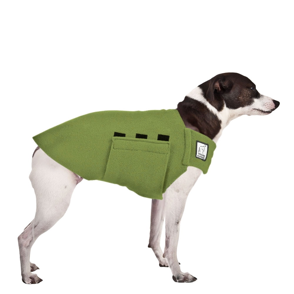 Rat Terrier Tummy Warmer