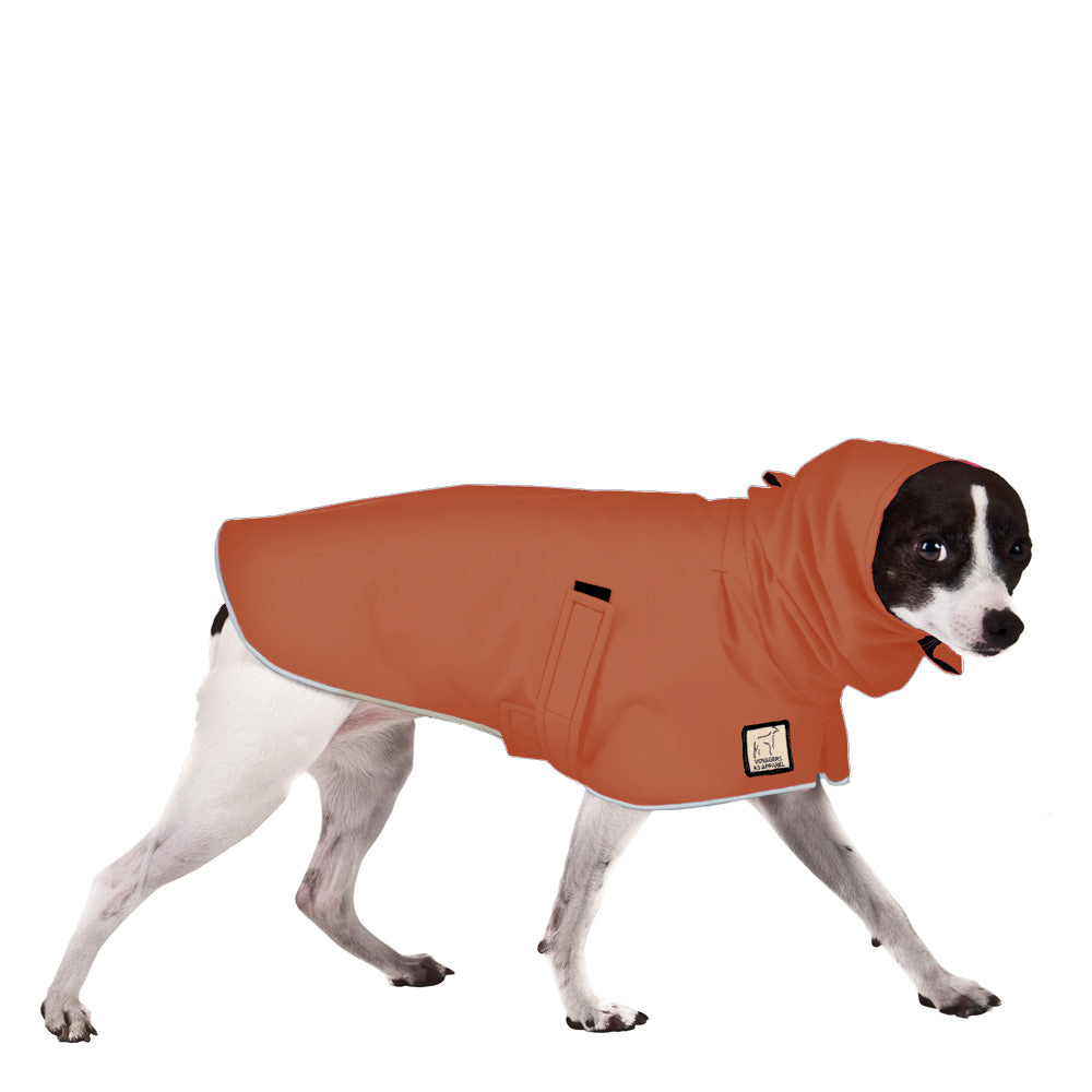 Rat Terrier Raincoat