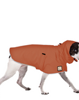 Rat Terrier Raincoat