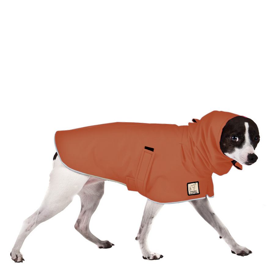 Rat Terrier Raincoat