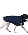 Rat Terrier Raincoat
