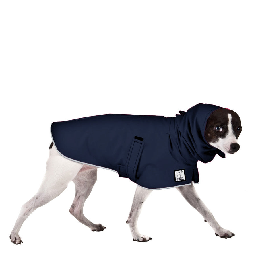 Rat Terrier Raincoat
