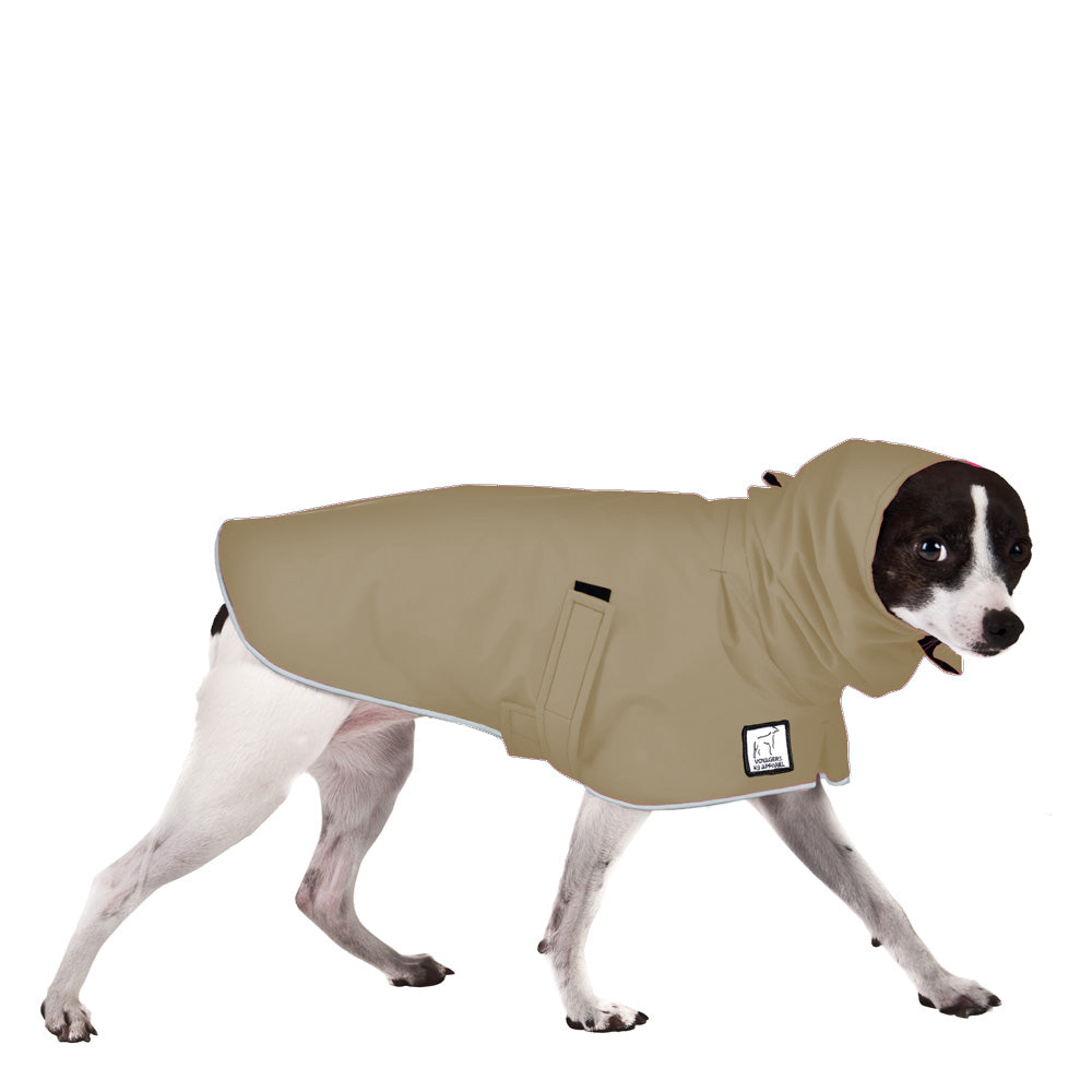 Rat Terrier Raincoat