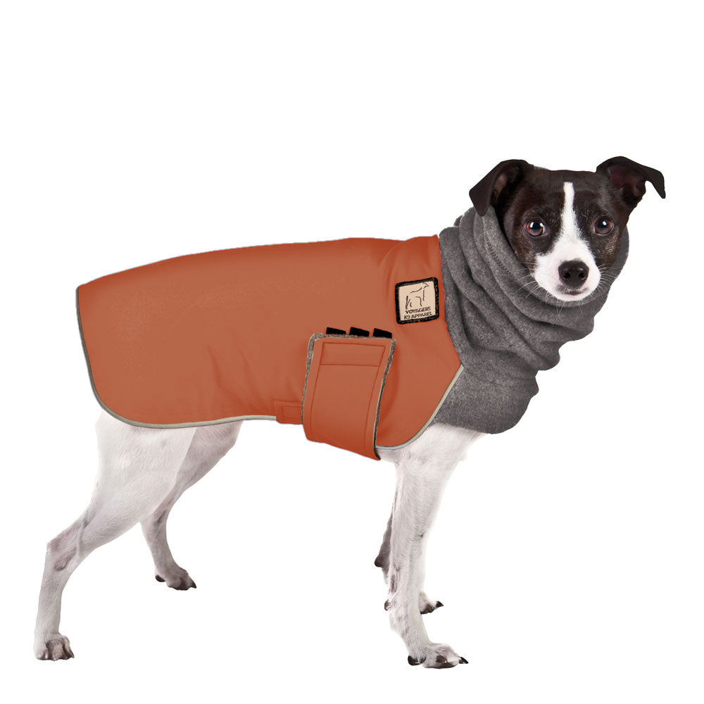 ReCoat Like New: Rat Terrier Winter Coat