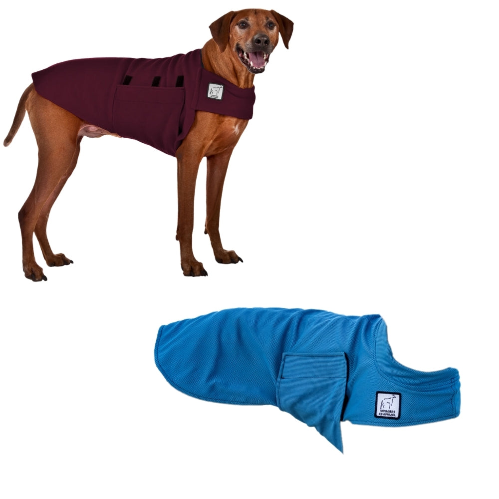 K9 Rodesian Ridgeback Rhodesian Ridgeback Hike Bundle – Voyagers K9 Apparel