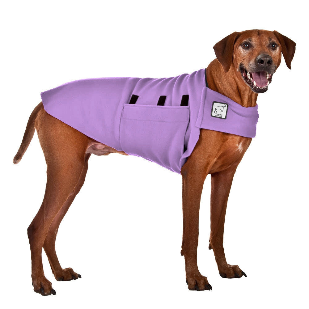 Rhodesian Ridgeback Tummy Warmer