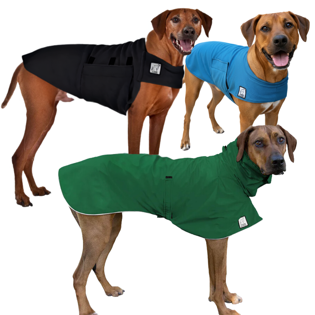 Rhodesian Ridgeback Nomad Bundle