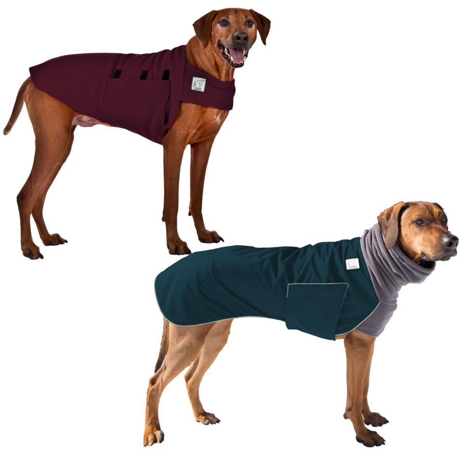 Rhodesian Ridgeback Rover Bundle