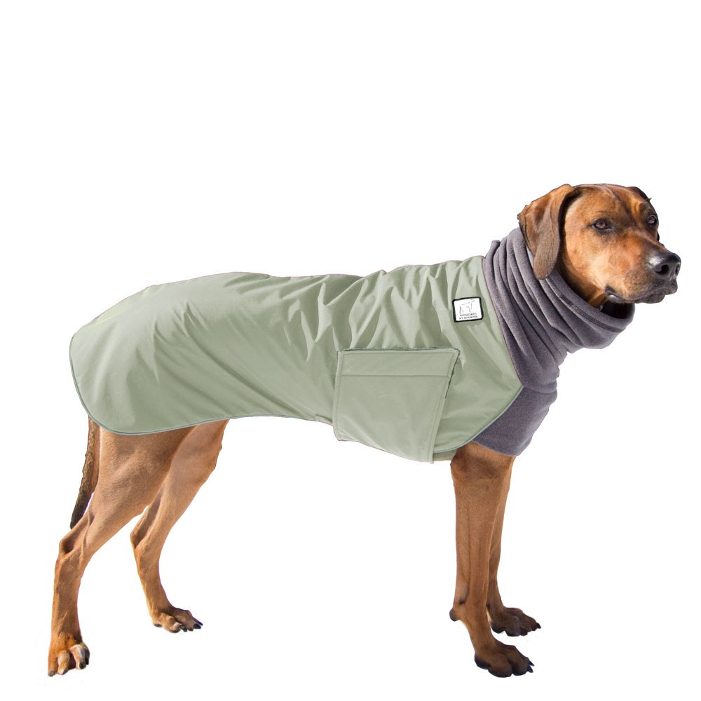 ReCoat Like New: Rhodesian Ridgeback Winter Coat