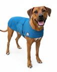 Rhodesian Ridgeback Cooling Coat