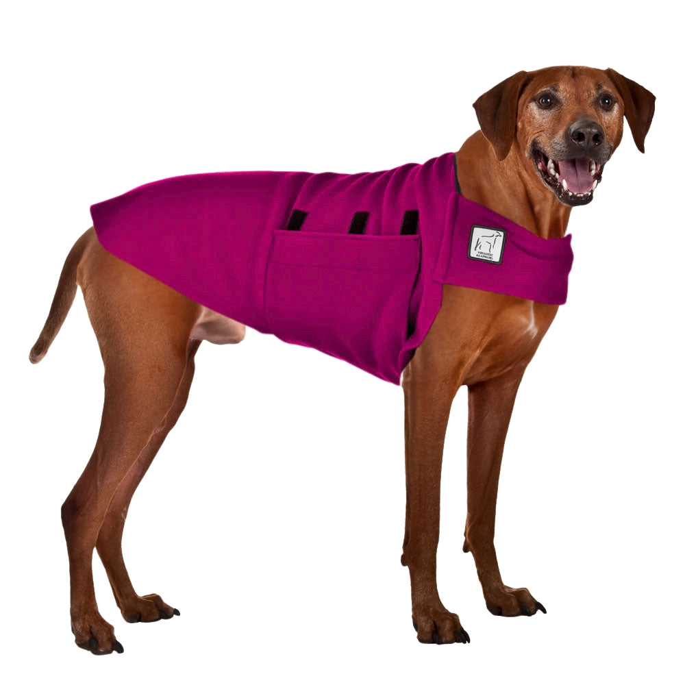 Rhodesian Ridgeback Tummy Warmer Dog Vest – Voyagers K9 Apparel