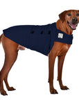 Rhodesian Ridgeback Tummy Warmer