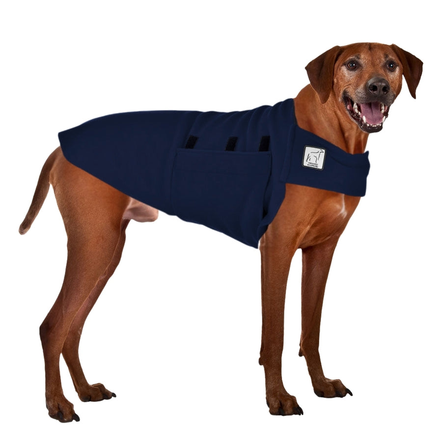 Rhodesian Ridgeback Tummy Warmer