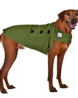 Rhodesian Ridgeback Tummy Warmer