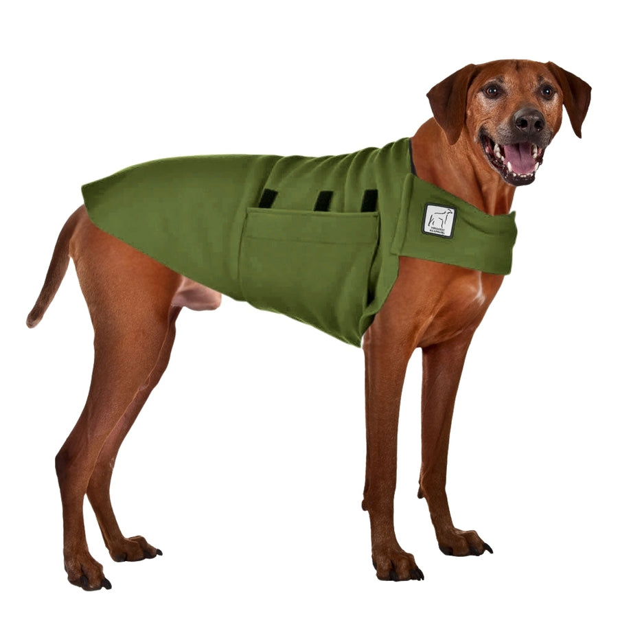 Rhodesian Ridgeback Tummy Warmer