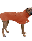 Rhodesian Ridgeback Raincoat