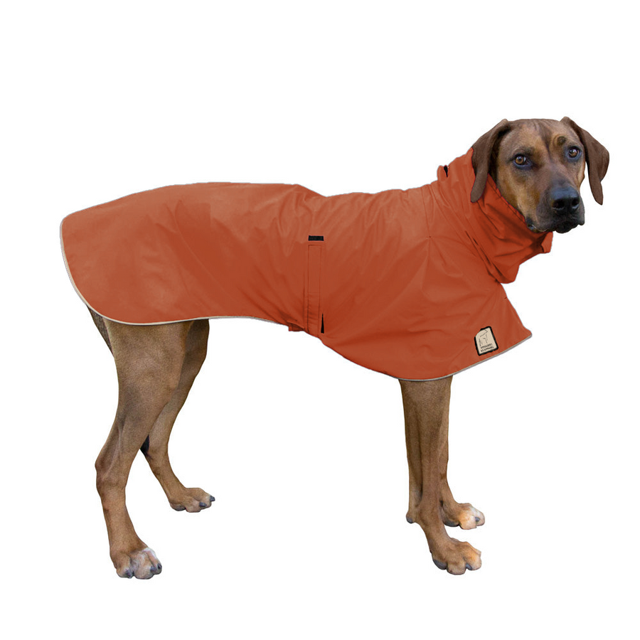 Rhodesian Ridgeback Raincoat