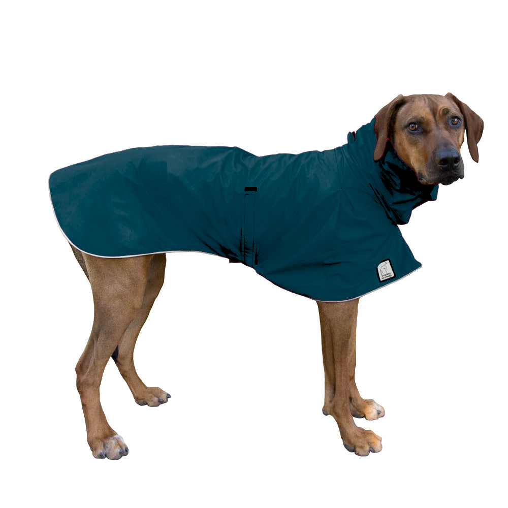 Rhodesian Ridgeback Raincoat