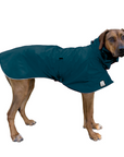 Rhodesian Ridgeback Raincoat