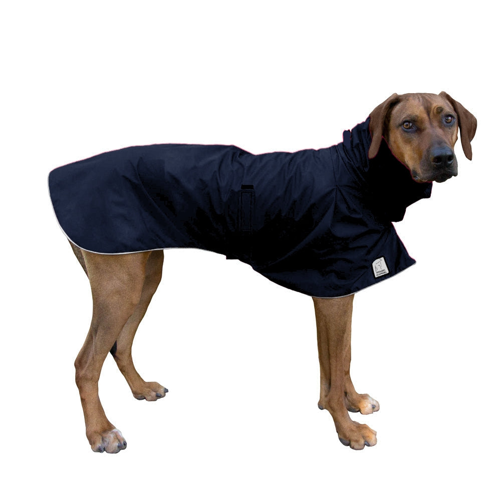 Rhodesian Ridgeback Raincoat