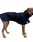 Rhodesian Ridgeback Raincoat