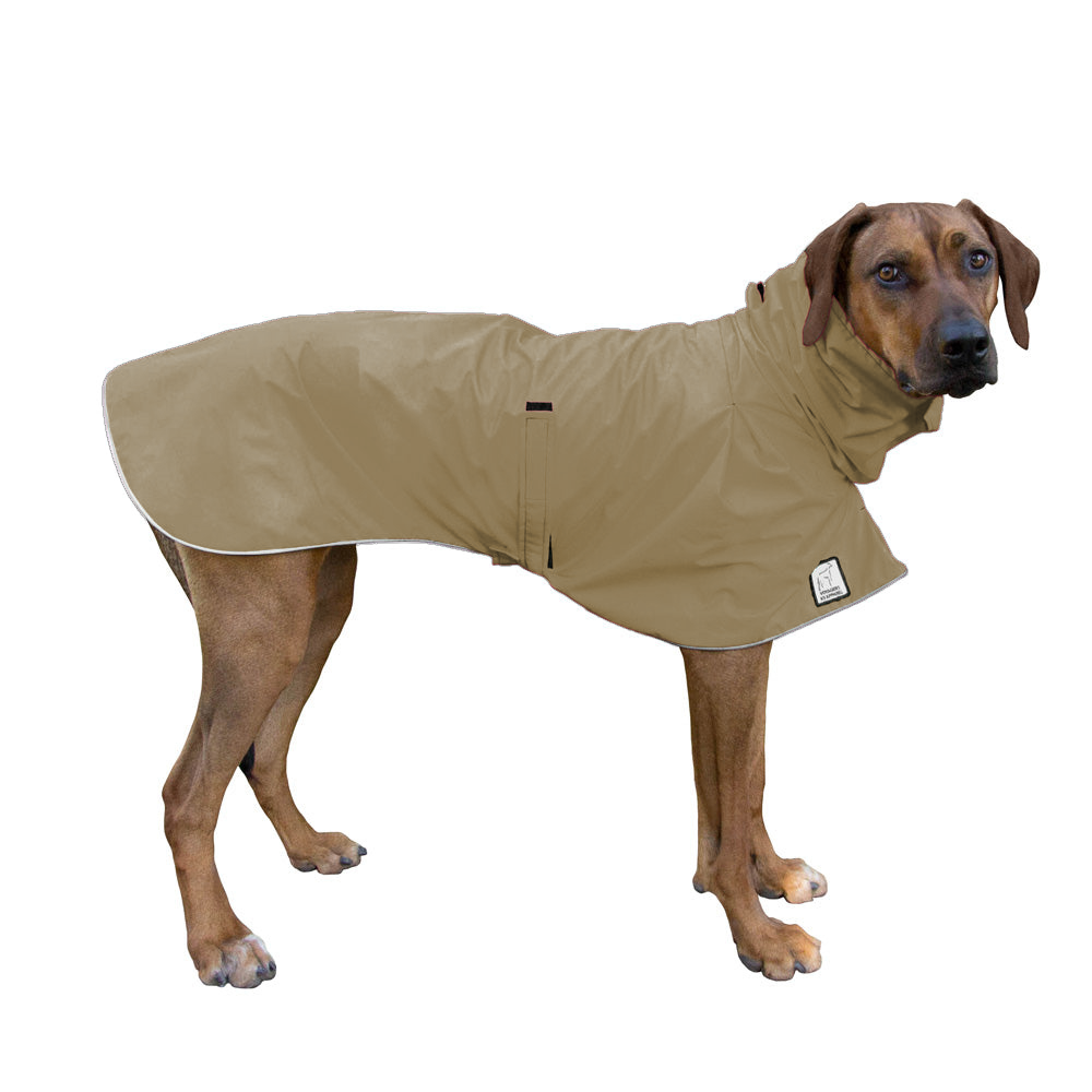 Rhodesian Ridgeback Raincoat