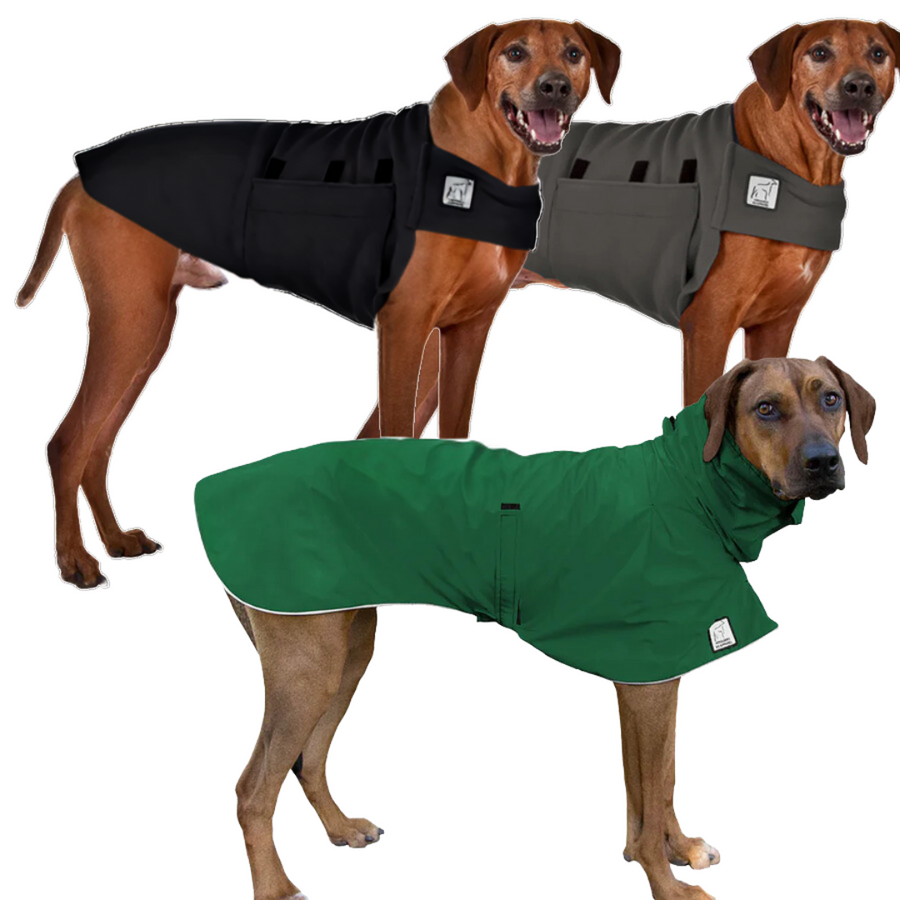 Rhodesian Ridgeback Fall Essentials Bundle