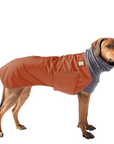 Rhodesian Ridgeback Winter Coat