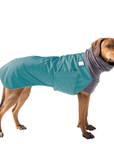 Rhodesian Ridgeback Winter Coat