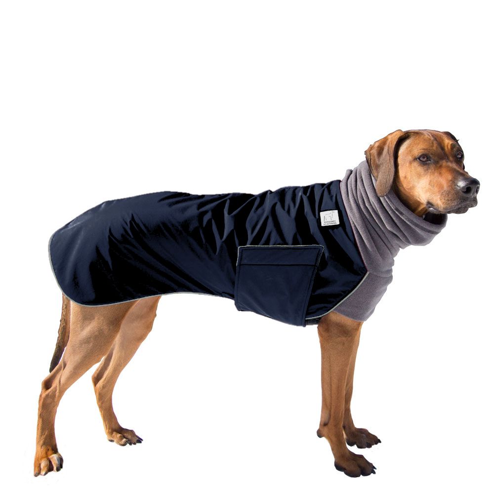 Rhodesian Ridgeback Winter Coat
