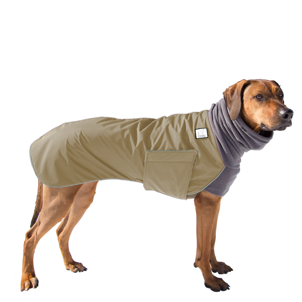 Rhodesian Ridgeback Winter Coat