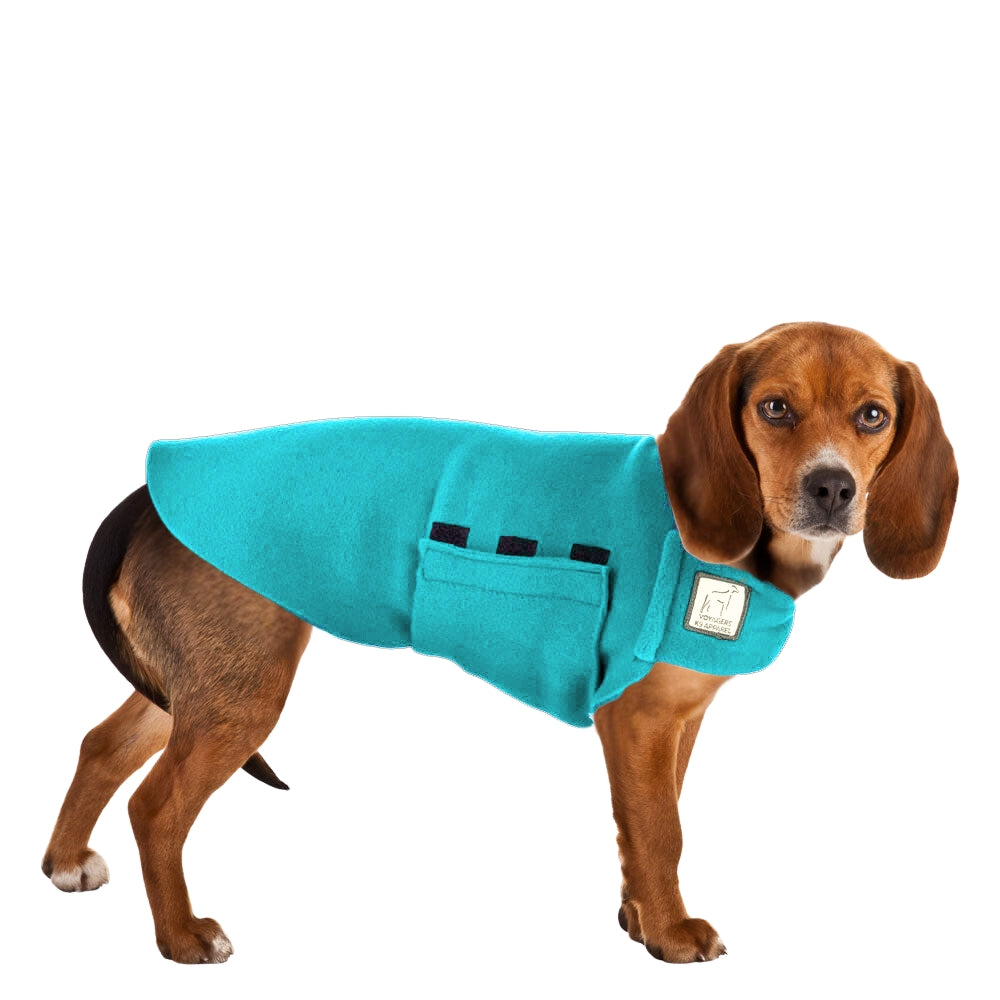 Beagle Tummy Warmer