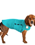 Beagle Tummy Warmer