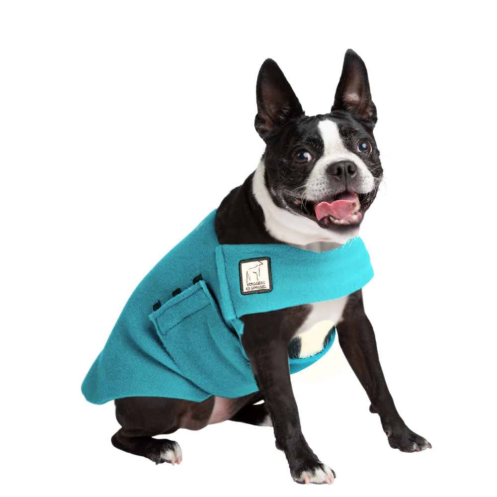 Boston Terrier Tummy Warmer