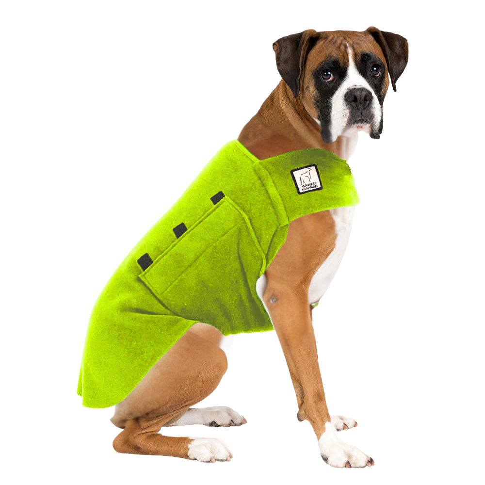 Boxer Tummy Warmer