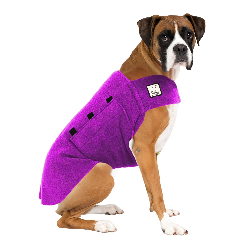 Boxer Tummy Warmer