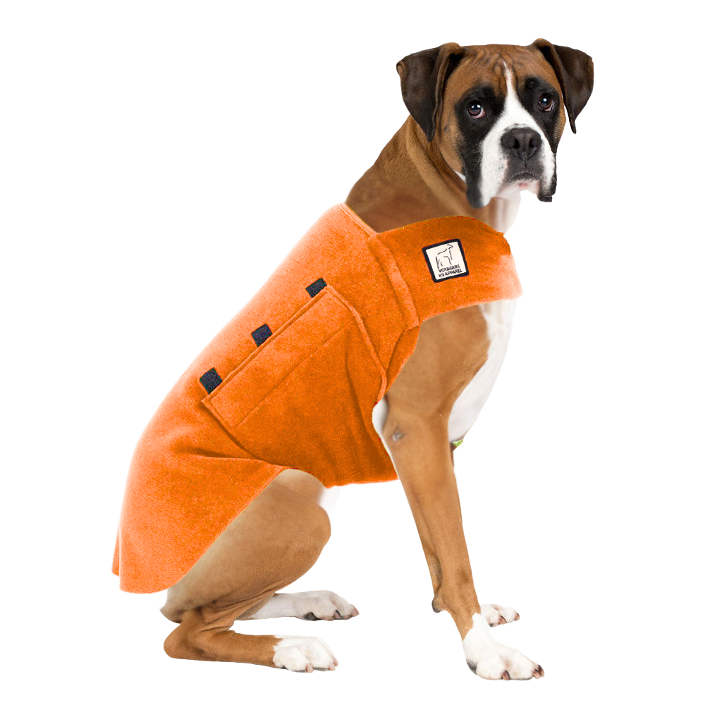 Boxer Tummy Warmer