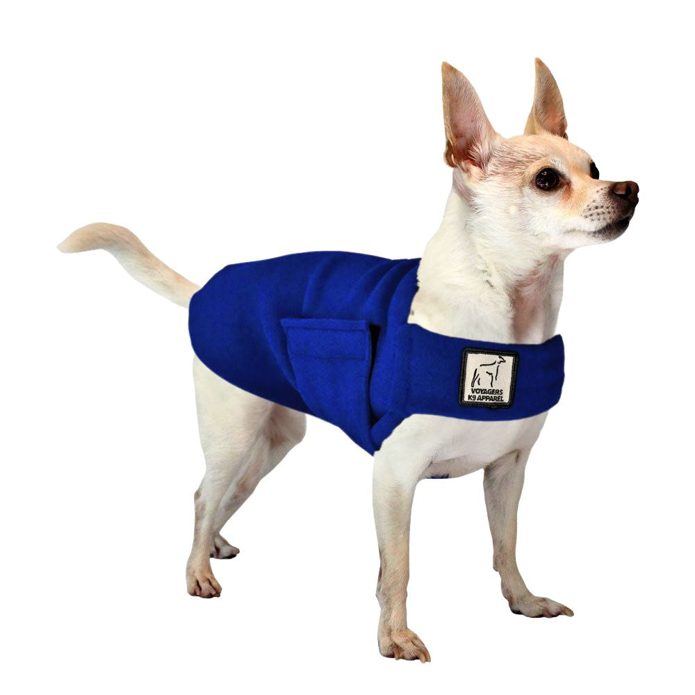 Chihuahua Tummy Warmer
