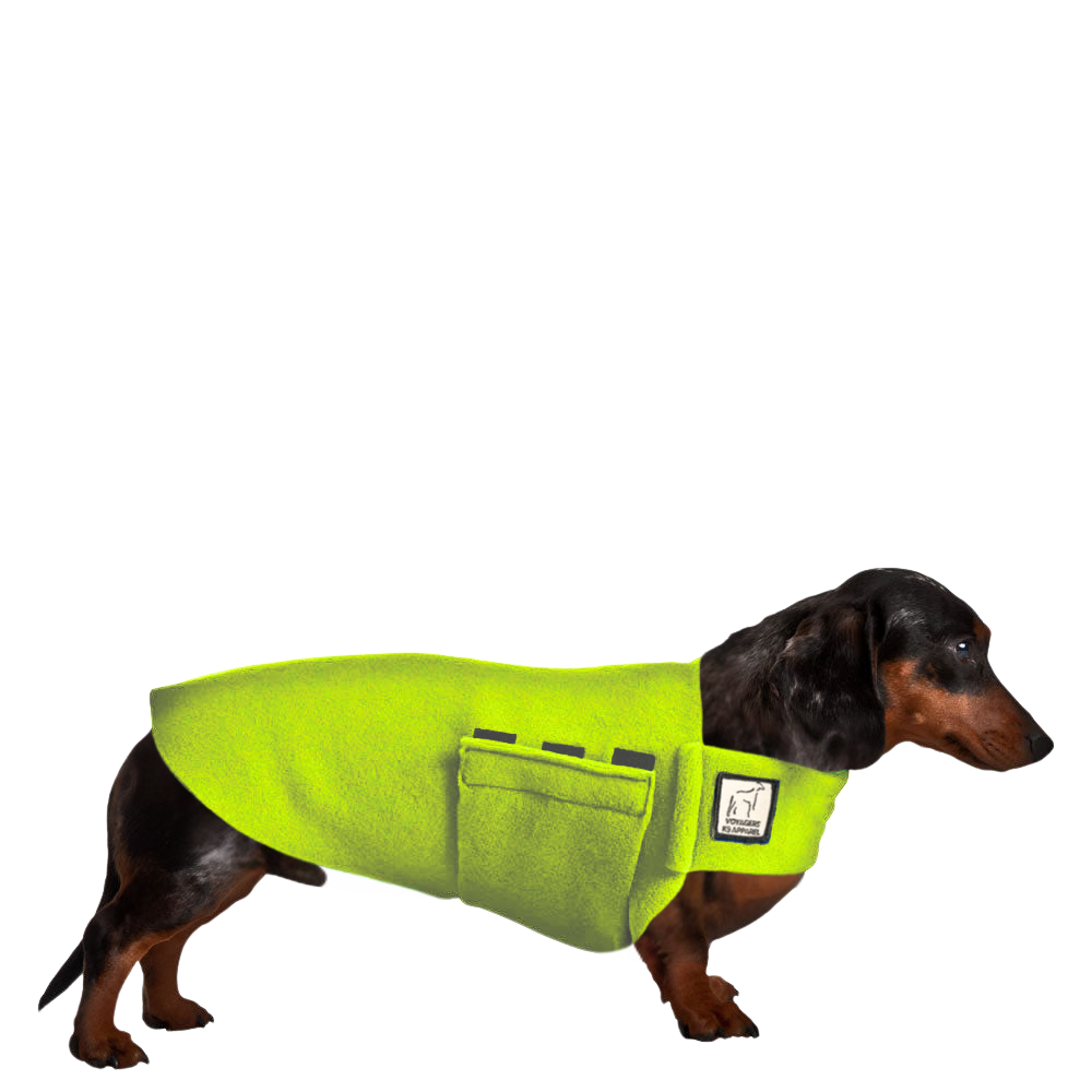 Dachshund Tummy Warmer