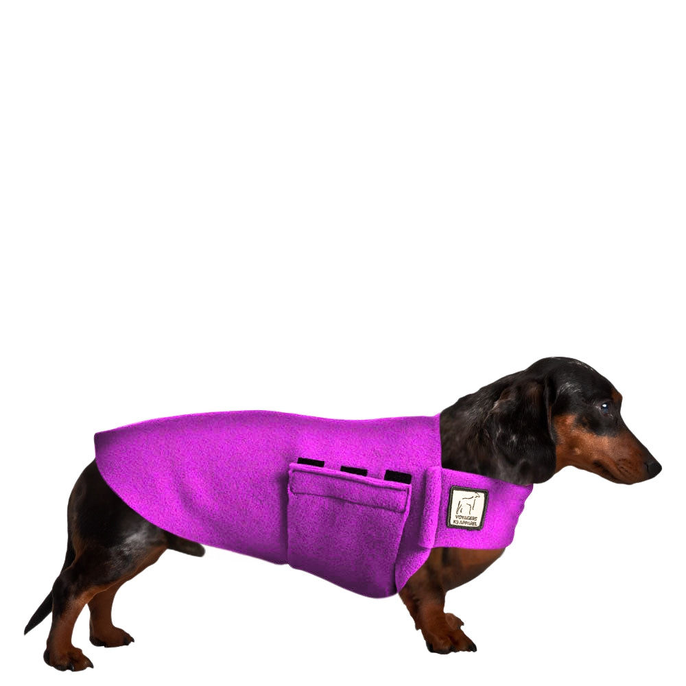 Dachshund Tummy Warmer