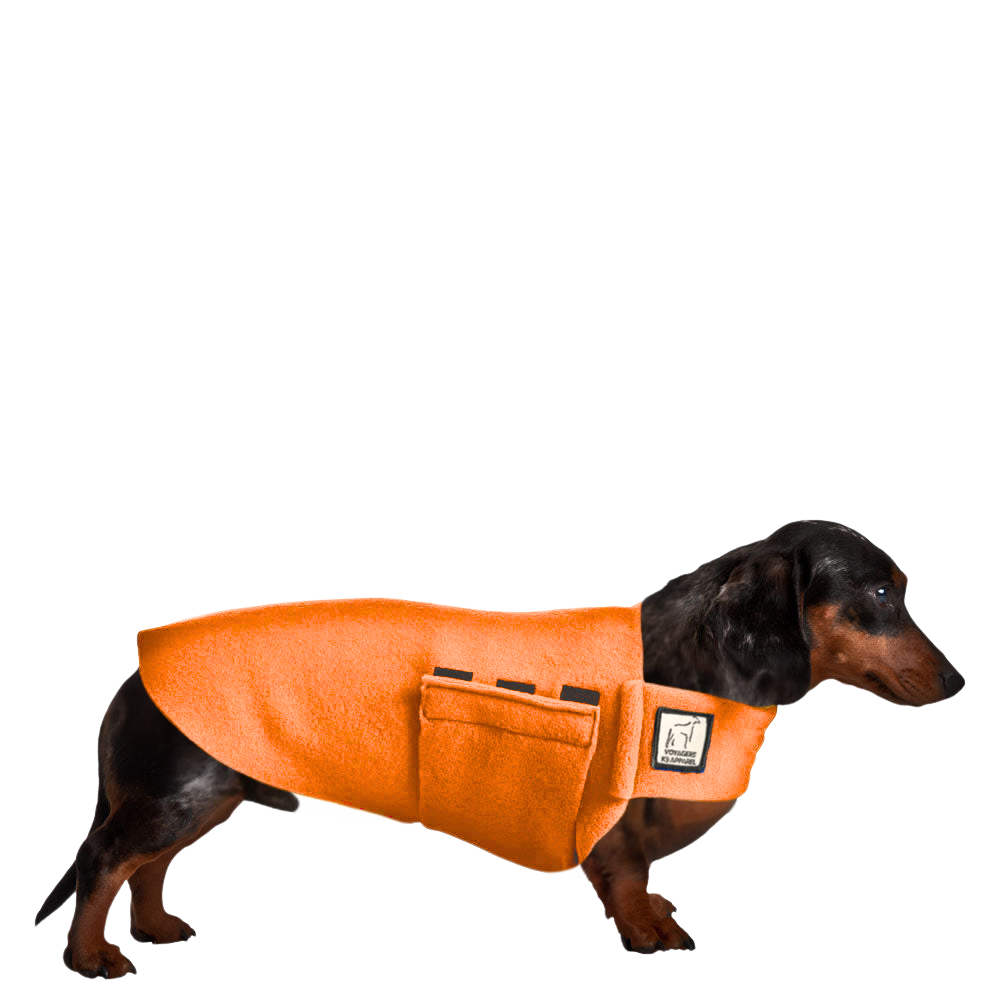 Miniature Dachshund Tummy Warmer