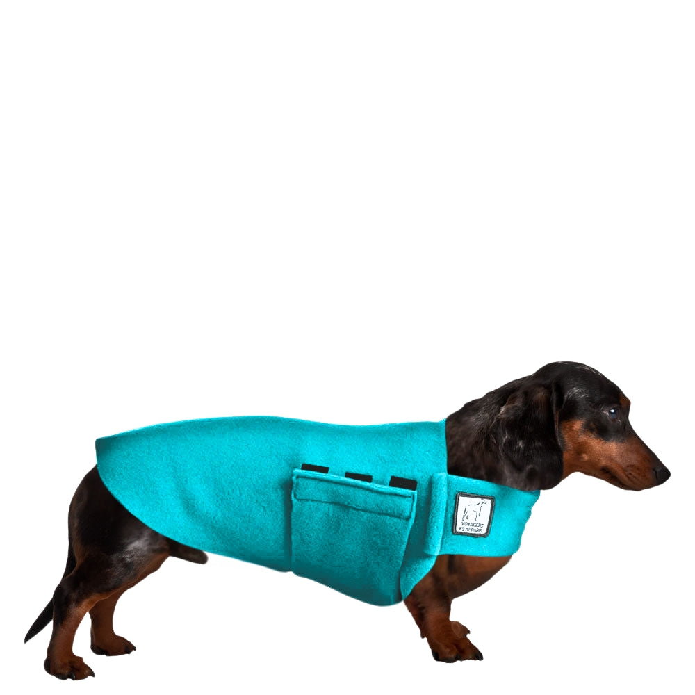 Dachshund Tummy Warmer