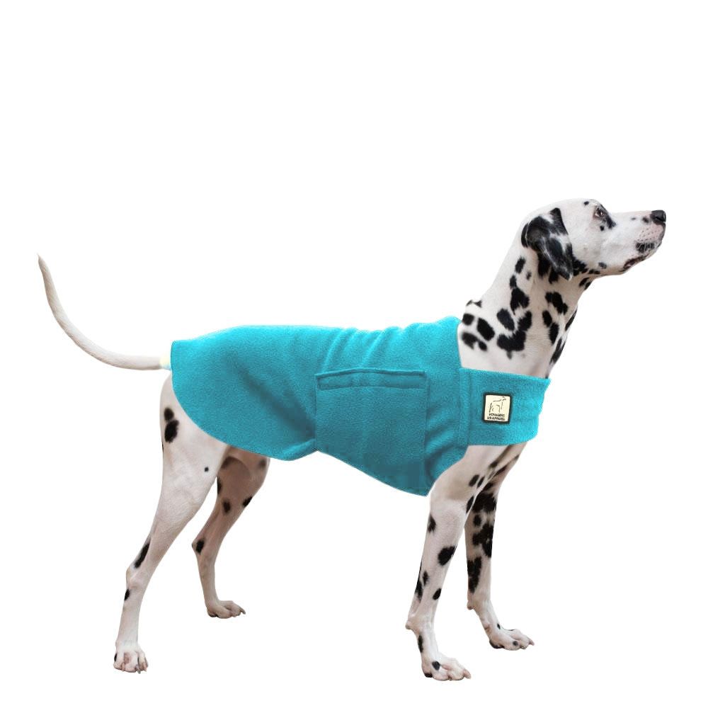 Dalmatian Tummy Warmer