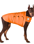 Doberman Pinscher Tummy Warmer