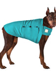Doberman Pinscher Tummy Warmer