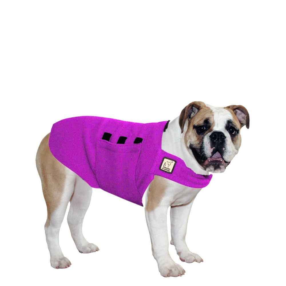 English Bulldog Tummy Warmer
