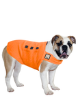 English Bulldog Tummy Warmer